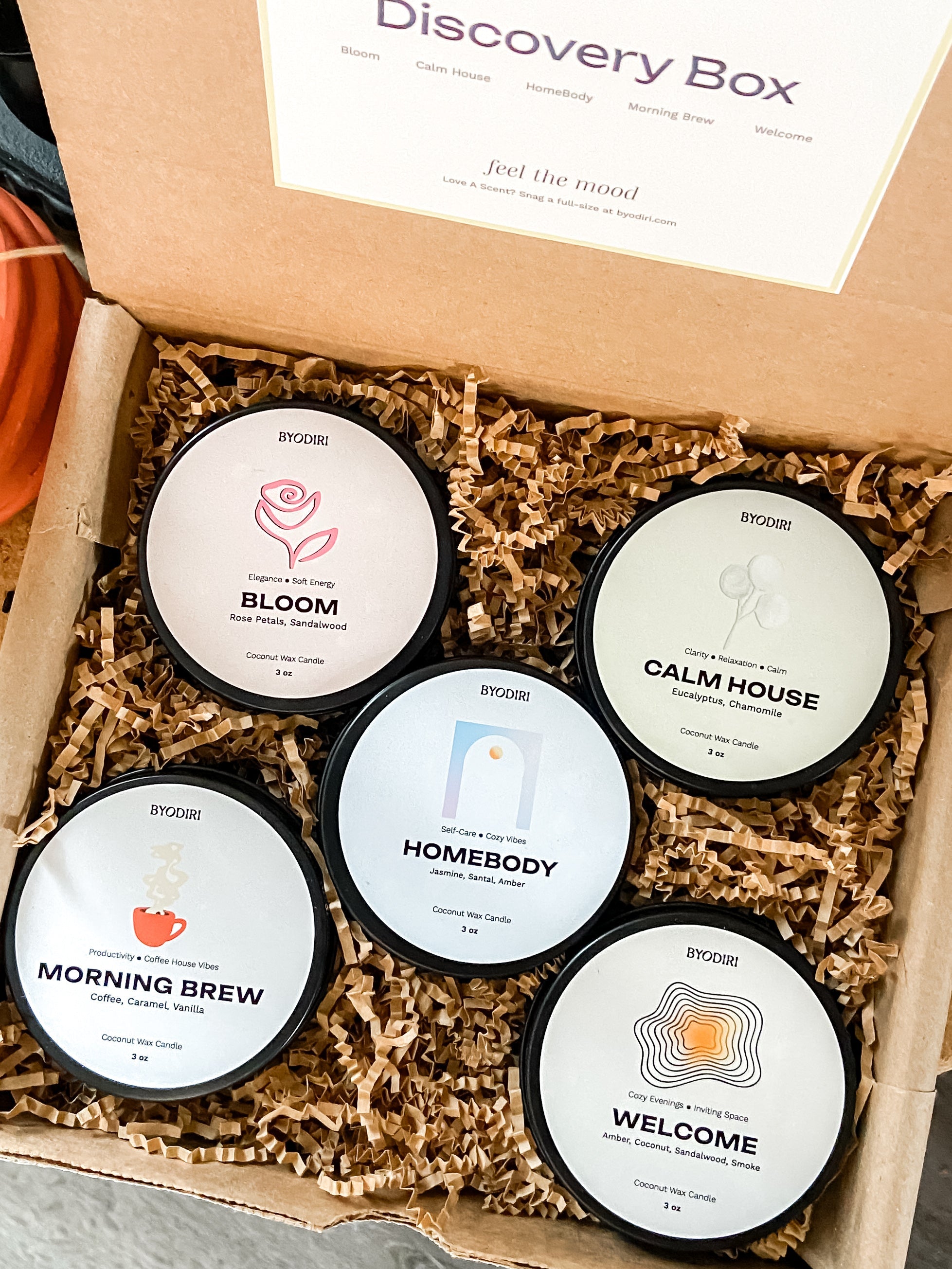 Bundle & Discovery Box